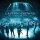 Until The Whole World Hears Live CD/DVD