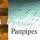 Praise Panpipes CD