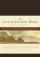 NRSV Life With God Bible: Brown, Imitation Leather (with the Deuterocanonical Books) - With the Deuterocanonical Books