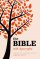 NRSV Bible with Apocrypha: Hardback, Anglicized