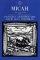 Micah : Anchor Bible Commentary