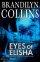 Eyes of Elisha