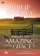 What's So Amazing About Grace: DVD - A Ten Session Investigation of Grace