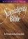 NIV Serendipity Bible: Hardback - For Personal and Small Group Study