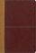 KJV/Amplified Large Print Parallel Bible: Camel/Rich Red: Italian Duo-Tone�, 