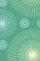 TNIV Personal Bible: Green, Satin Spirals, Hardback, British Text