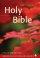 NRSV Popular Text Bible: Hardback