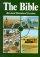 RSV Compact Bible: Green Hardback