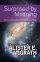 Surprised by Meaning - Science, Faith, and How We Make Sense of Things
