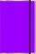 NCV Compact Bible: Purple, Metal Edging 