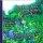 Everything I Know I Learned in My Garden: Life's Lessons in My Own Backyard - Life's Lessons in My Own Backyard
