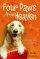 Four Paws From Heaven - Devotions for Dog Lovers