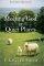 Meeting God In Quiet Places Padded Hb