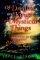 Of Dreams and Kings and Mystical Things: a Novel of the Life of King David - A Novel of the Life of King David