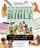 New Testament Activity Bible