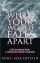 When Your World Falls Apart - Life Lessons from a Ground Zero Chaplain