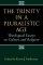 Trinity In A Pluralistic Age