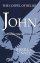 John : the Gospel of Belief
