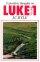 Luke : Vol 1: Expository Thoughts