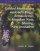 Guided Meditations on God's Reign