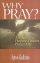 WHY PRAY LUKE 11 PB