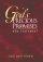 KJV New Testament : Burgundy Paperback - God's Precious Promises