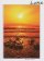 NLT Gospel of Luke: Paperback - Gospel of Luke