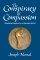 The Conspiracy Of Compassion - Breathing Together for a Wounded World