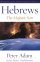 Hebrews : Reading the Bible Today Commentaries - The Majestic Son