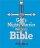 ICB God's Mighty Warrior Devotional Bible: Hardback