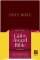 NLT Gift & Award Bible: Burgundy, Imitation Leather