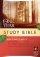 NLT One Year Study Bible: Hardback