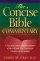 Concise Bible Commentary