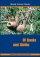 OF BOOKS AND SLOTHS DVD