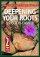 Deepening Your Roots in God's Family