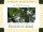 In His Footsteps: Living Prayer, Poverty and Peace with Francis of Assisi - Living Prayer, Poverty and Peace with Francis of Assisi