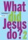 WHAT DID JESUS DO 2 PB