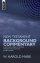 New Testament Commentry hardback - A New Dictionary of Words, Phrases and Situations in Bible Order