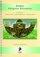 Teacher Book 1 For Reception