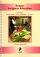 Teacher Book 2 For Year 1