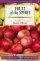 Lifebuilder Bible Study: Fruit of the Spirit