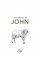 ESV Johns Gospel