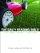 The Daily Reading Bible Vol 7 - Short Daily Bible Readings For People On The Go
