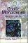 Coptic Monasteries - Art And Architecture Of Early Christian Egypt