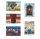 Worshipping King Prints - Pack Of 5