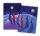 Everyday With Jesus Christmas Cards - Shepherds - Pack of 10