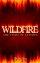 Wildfire: CD - A Musical about the Story of Stephen 