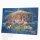 Christmas It's All About Jesus Card - Pack of 18