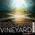 Discover Vineyard Worship Cd