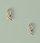 9ct Gold fish earrings